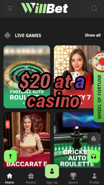 $20 at a Casino - Best Budget Casino Experience-casinobuddy.ydblkf.net