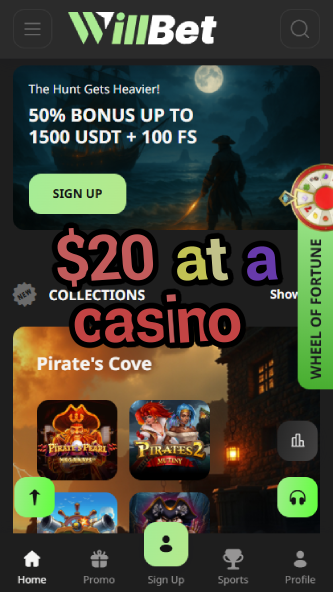 $20 at a Casino - Best Budget Casino Experience-casinobuddy.ydblkf.net