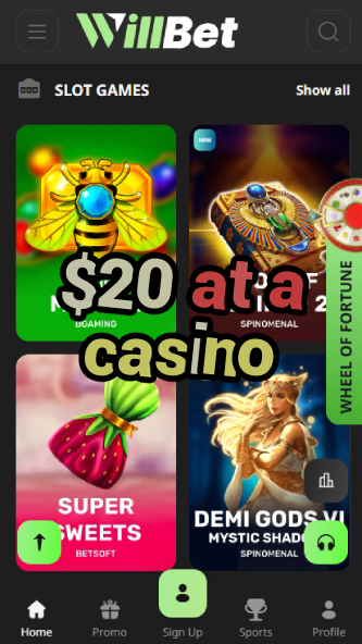 $20 at a Casino - Best Budget Casino Experience-casinobuddy.ydblkf.net